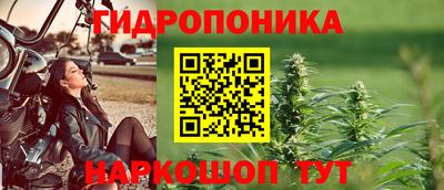 крисы Свободный