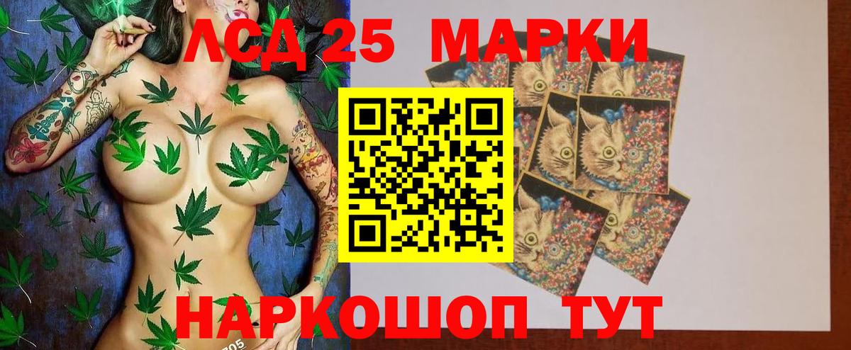 ЛСД экстази кислота  LSD-25 экстази кислота  Сальск  Лсд 25 экстази  Вход с VPN 