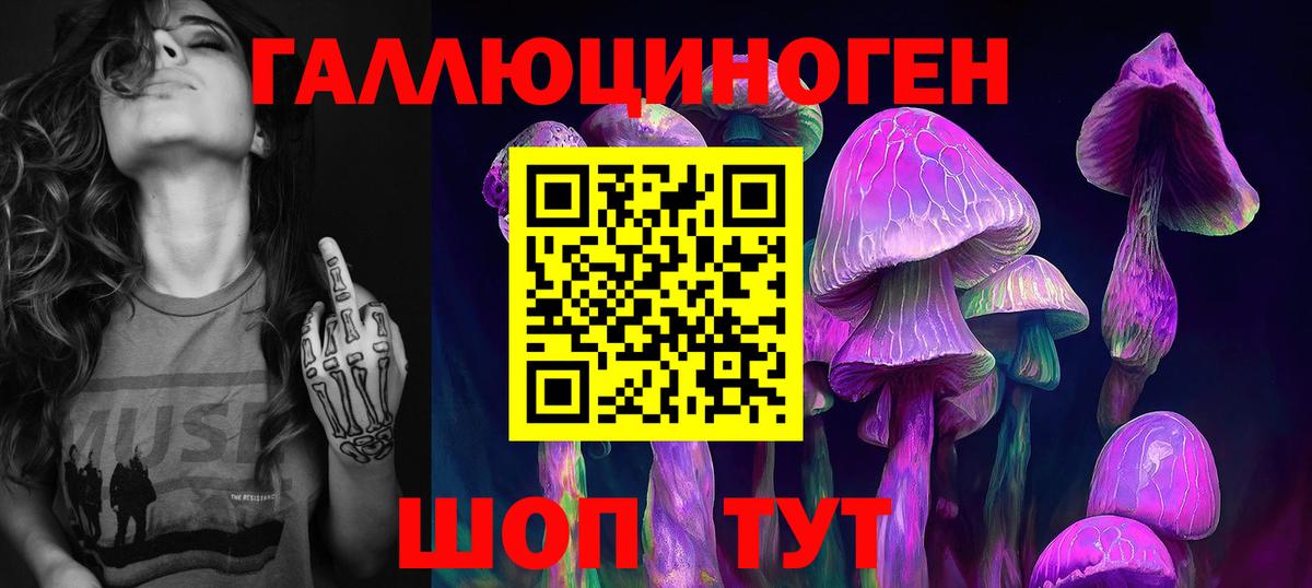 Псилоцибиновые грибы мухоморы  цены наркотик  Сальск  Вход с VPN 