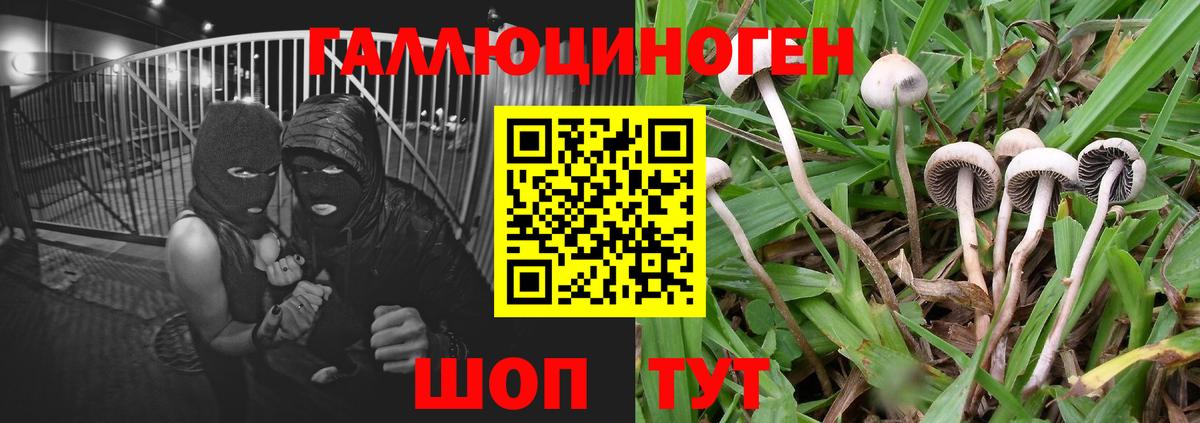 Псилоцибиновые грибы ЛСД Сальск
